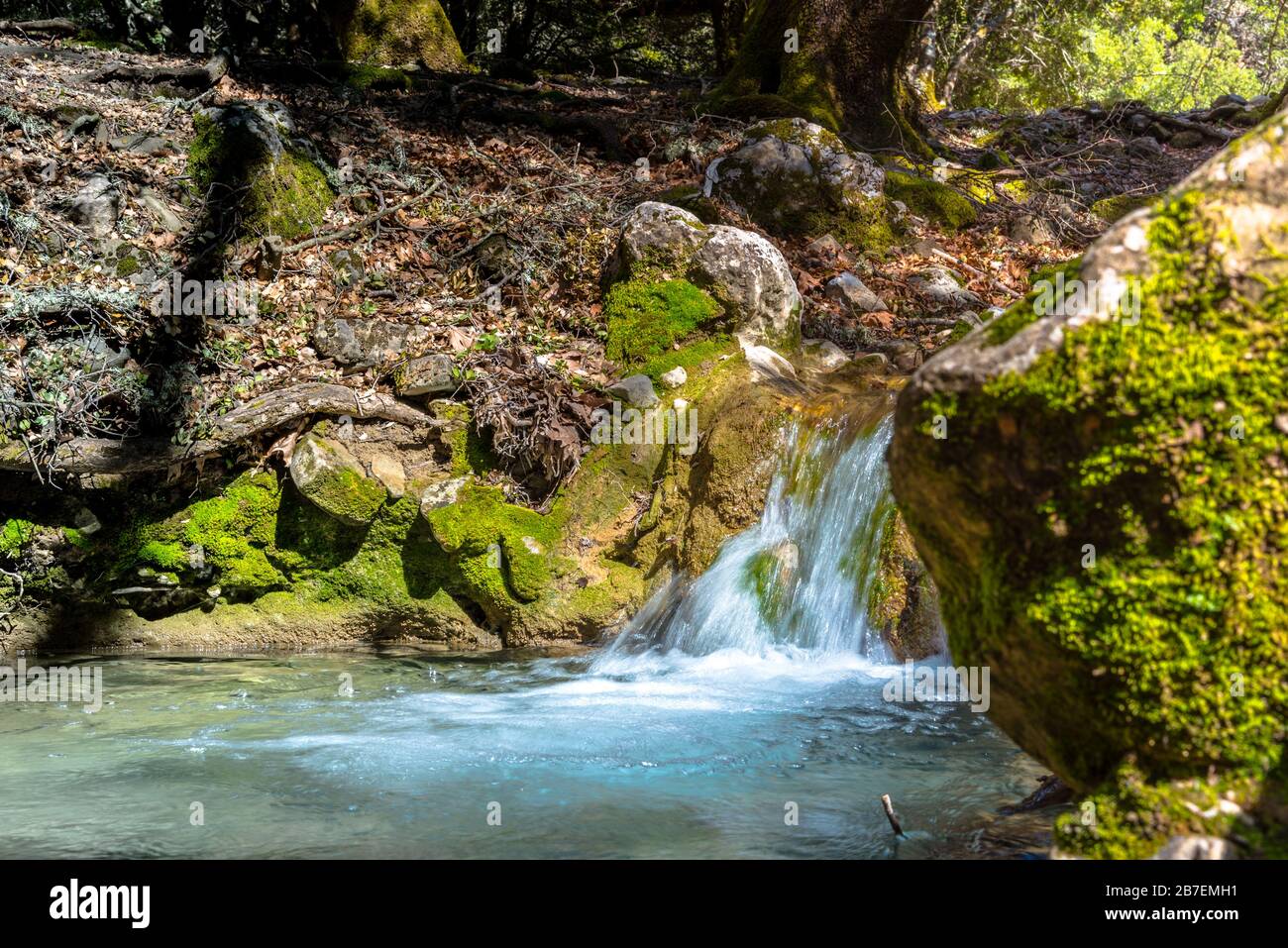 Rouvas Wald auf dem Berg Psiloritis, mit Bächen und farbenfrohen Plantagen im Frühling, auf Crete, Griechenland Stockfoto