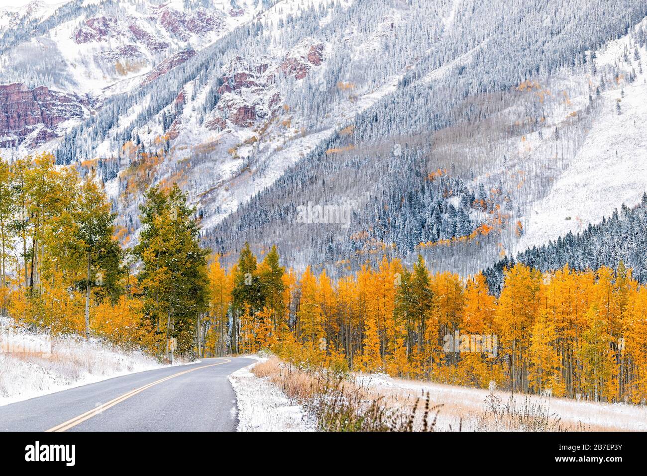 Wald gelbe orangefarbene grüne Bäume im Schnee in Aspen, Colorado Maroon Bells Mountains im Oktober 2019 und lebendiger Herbst im Laub auf der Straße Stockfoto