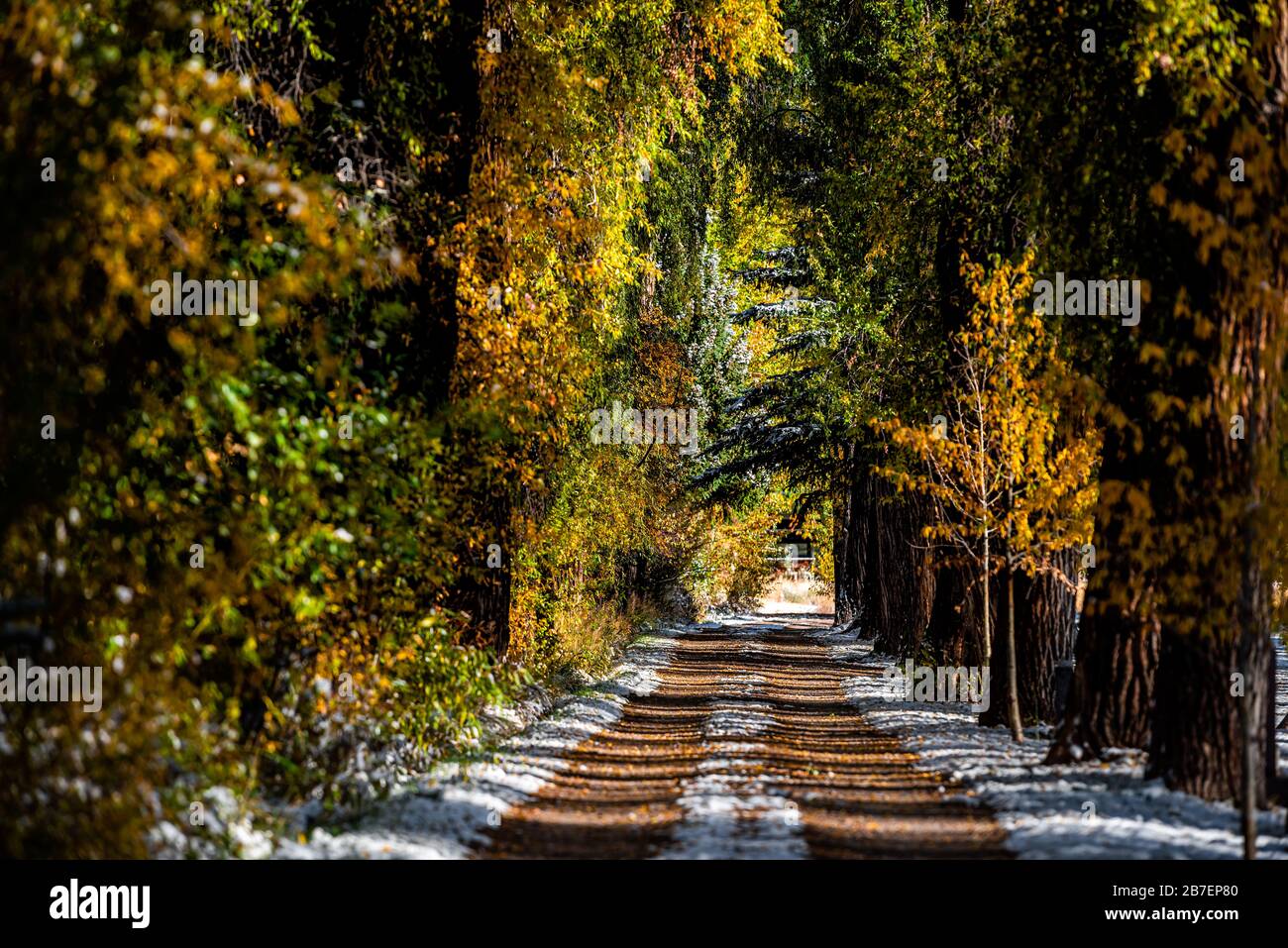 Aspen kleine Stadt in Colorado USA mit Straßenweg mit Herbstlaub und Schnee in der Stadt morgendlicher Sonnenaufgang auf dem Red Butte Cemetery Stockfoto