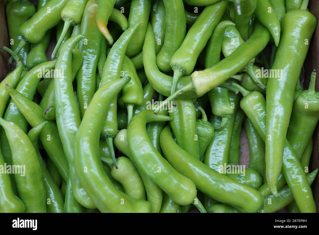 Obst und Gemüse auf biologischem Jahrmarkt-Foto Stockfoto