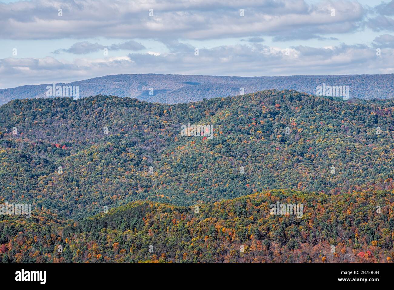 Panoramablick auf die Berge der Appalachen und grüne rote Ahorn-Waldbäume in ländlicher Landschaft im Highland County, Virginia Stockfoto