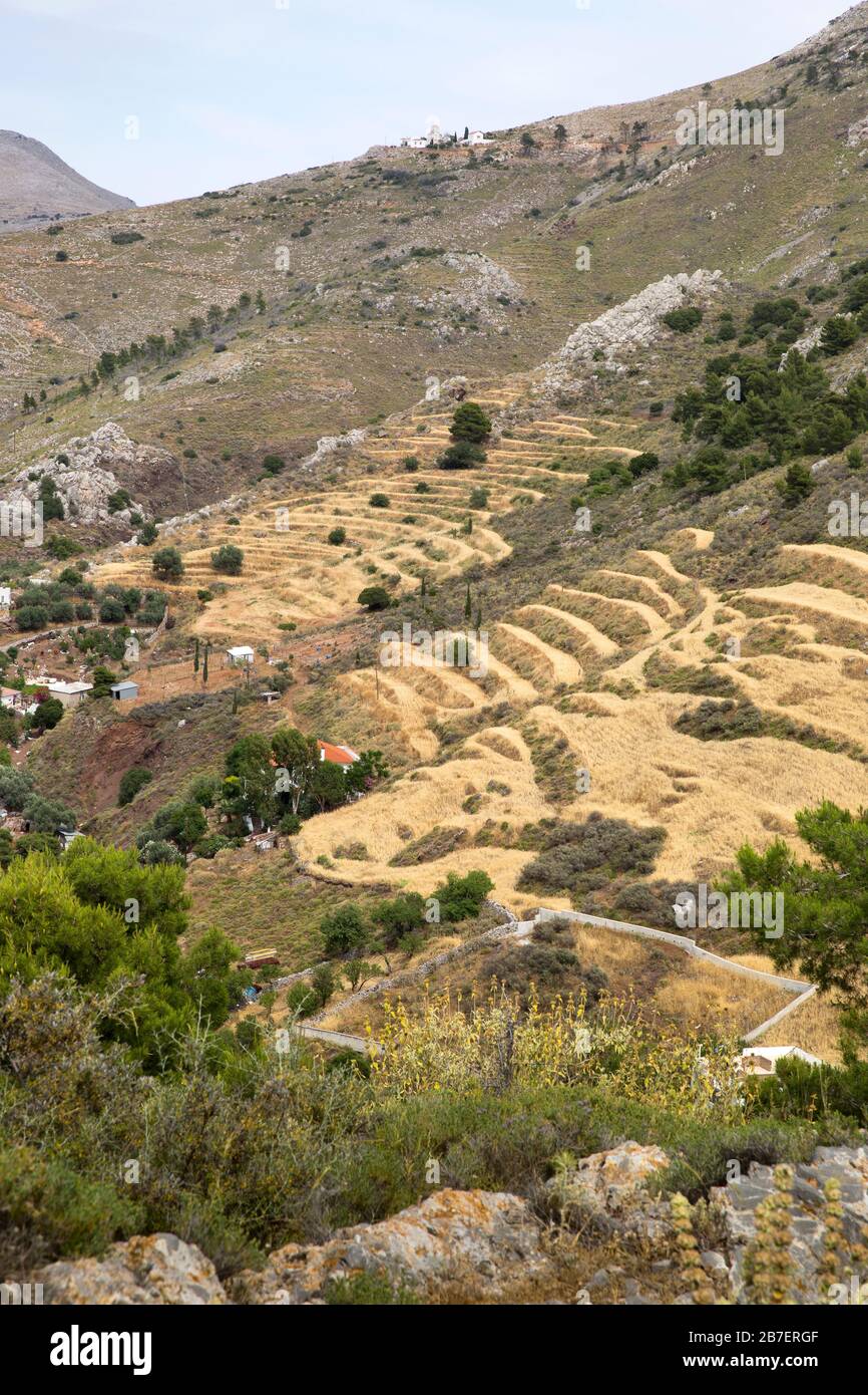Terrassierte Getreidefelder und Grassaatflächen auf der griechischen Insel Hydra, Griechenland. Auf dem entfernten Hügel befindet sich eine Klosterkirche. Stockfoto
