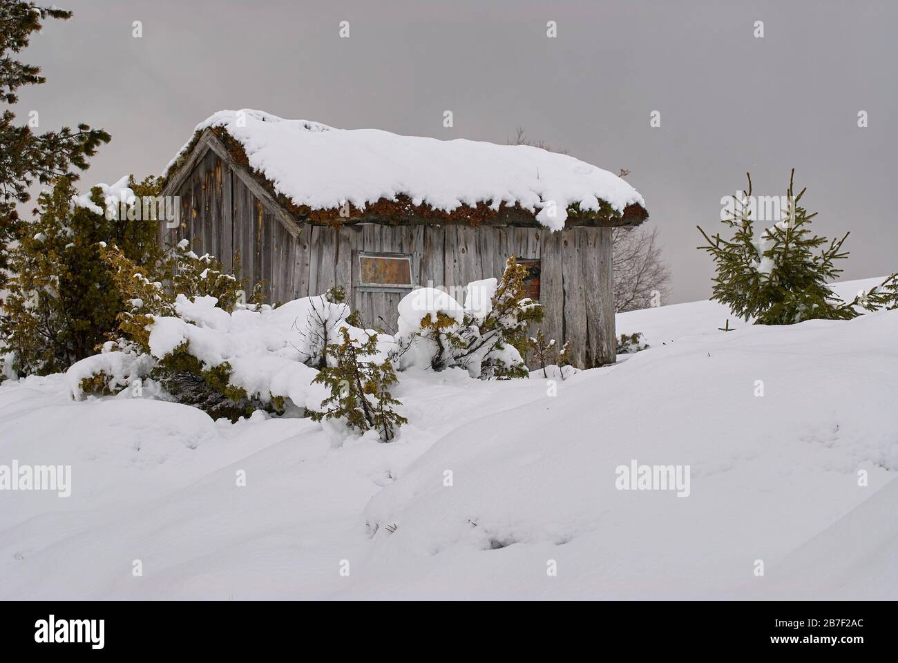 Wintereindruck auf Fjaerlandsvegen, Nationalstraße Nr. 5, Norwegen Stockfoto