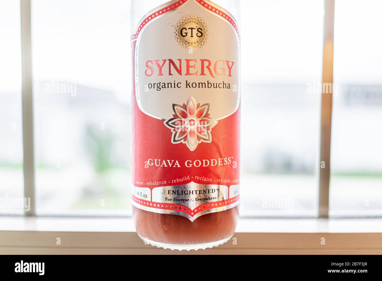 Strafford, USA - 15. Oktober 2019: Nahaufnahme des veganen Getränkestudio für die Synergy Kombucha von Guava GT mit Fensterhintergrund Stockfoto