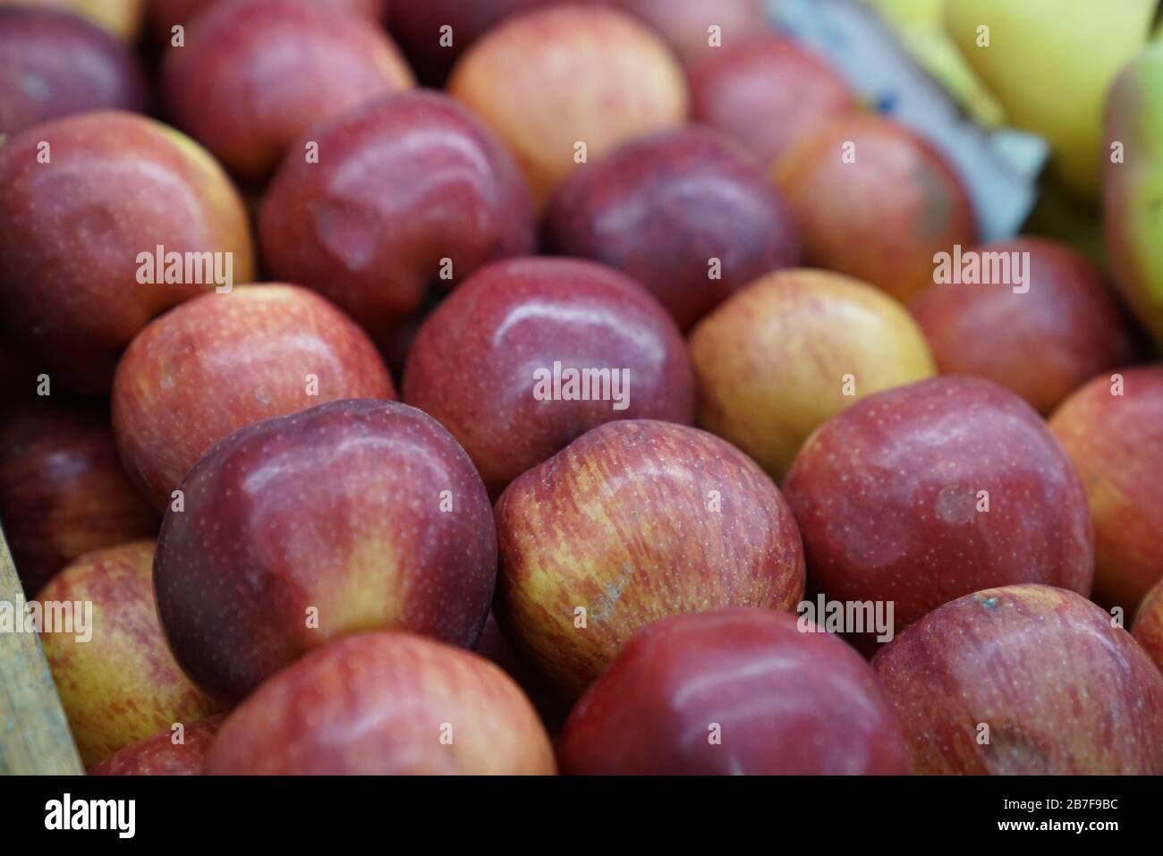Obst und Gemüse auf biologischem Jahrmarkt-Foto Stockfoto