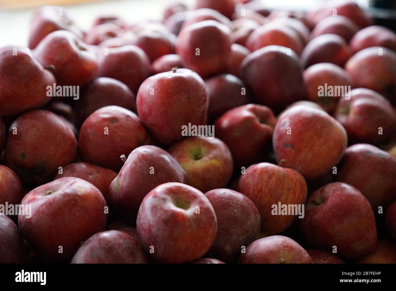 Obst und Gemüse auf biologischem Jahrmarkt-Foto Stockfoto