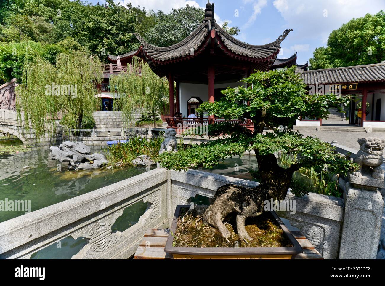 Park des gelben Kranturms: Gänsepeich und Bonsai-Baum. Wuhan, China Stockfoto