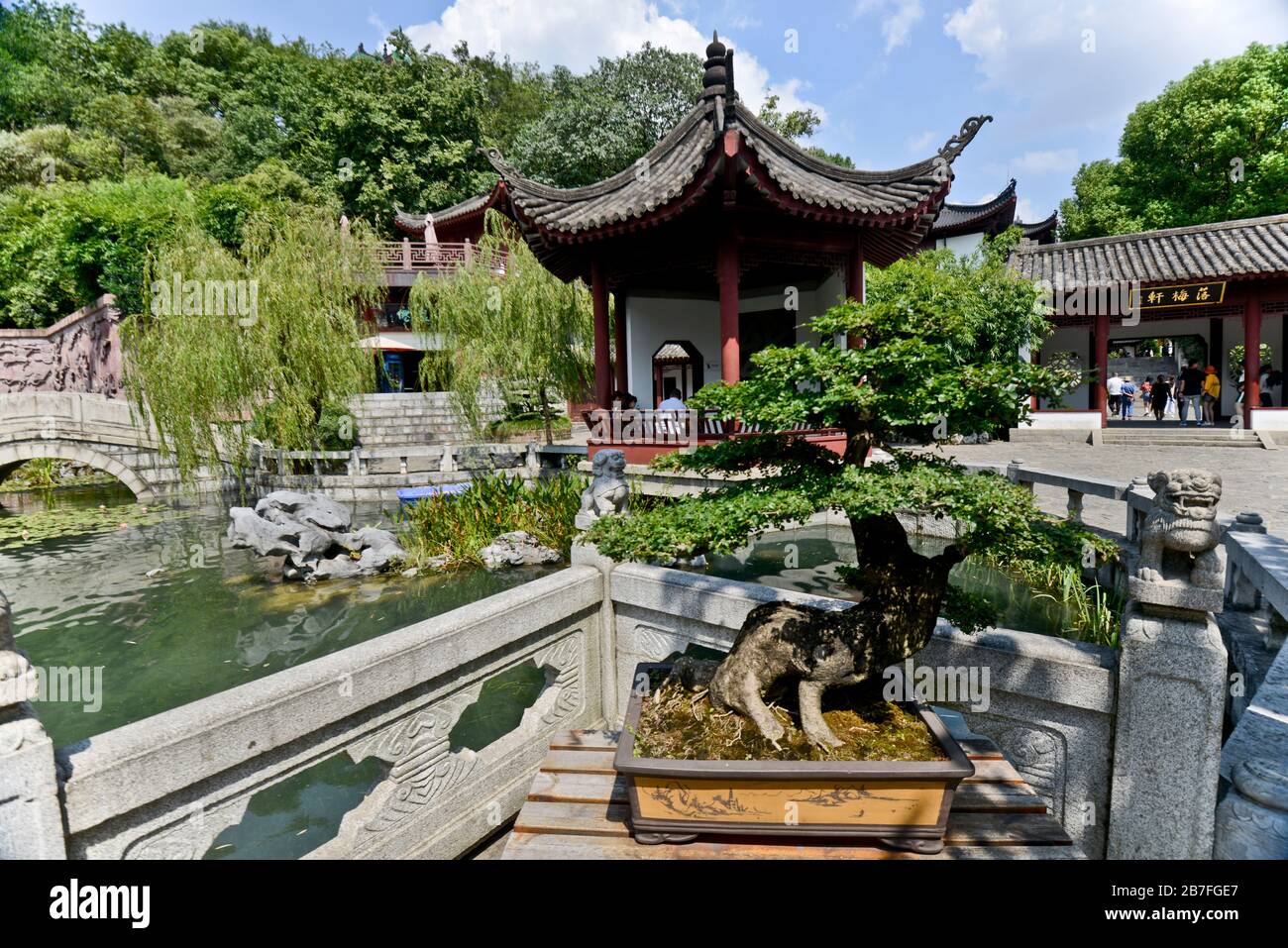 Park des gelben Kranturms: Gänsepeich und Bonsai-Baum. Wuhan, China Stockfoto