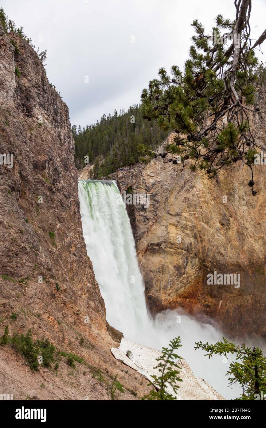 Die hohen und mächtigen Unterfälle des Yellowstone River, während er in den steilen Canyon mit unidentifizierbaren Menschen auf einer Aussichtsplattform in der Nähe des fällt Stockfoto