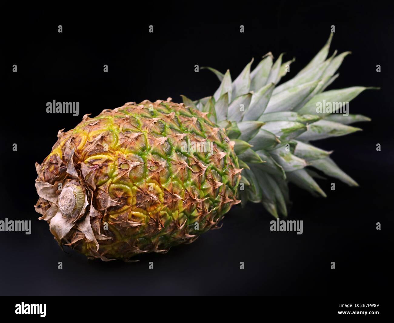 Seitenansicht der liegenden Ananas isoliert auf schwarzem Hintergrund Stockfoto
