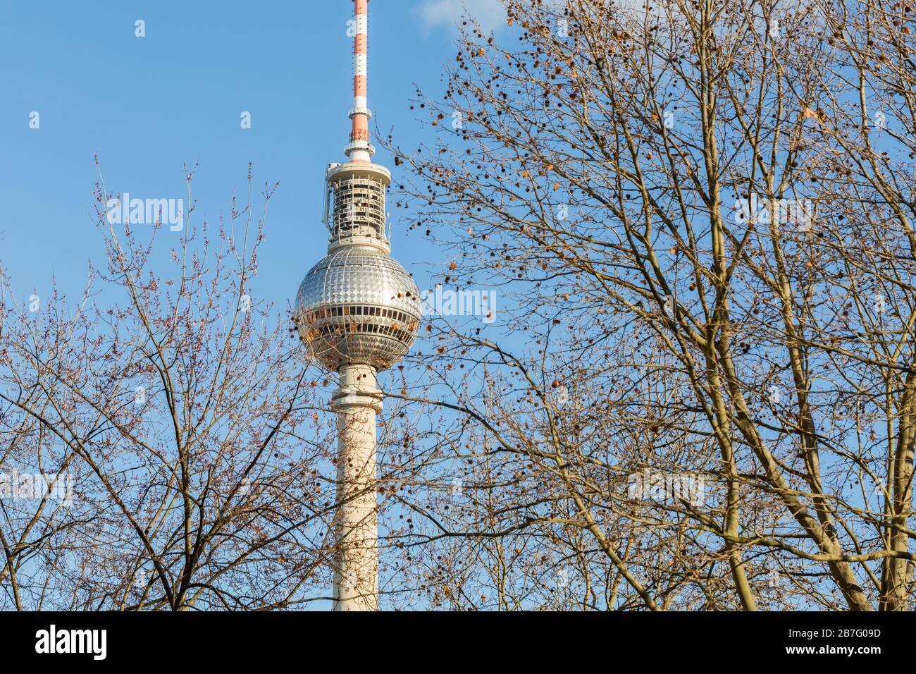Berliner Fernsehturm hinter Bäumen. Symbol der deutschen Hauptstadt, mit drehbarem Restaurant & ikonischem Ambiente. Wahrzeichen. Stockfoto