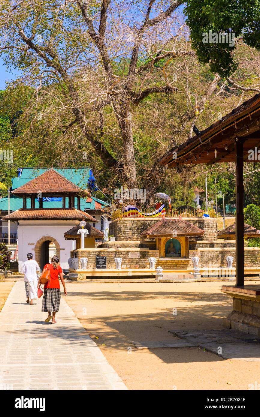 Südasien Sri Lanka Kandy Singhala Central Province alte Hauptstadt Vishnu Devale Schrein Bäume Fahnen Buddha Figuren Elefanten Zeichen Stupa Bogen Straße Stockfoto