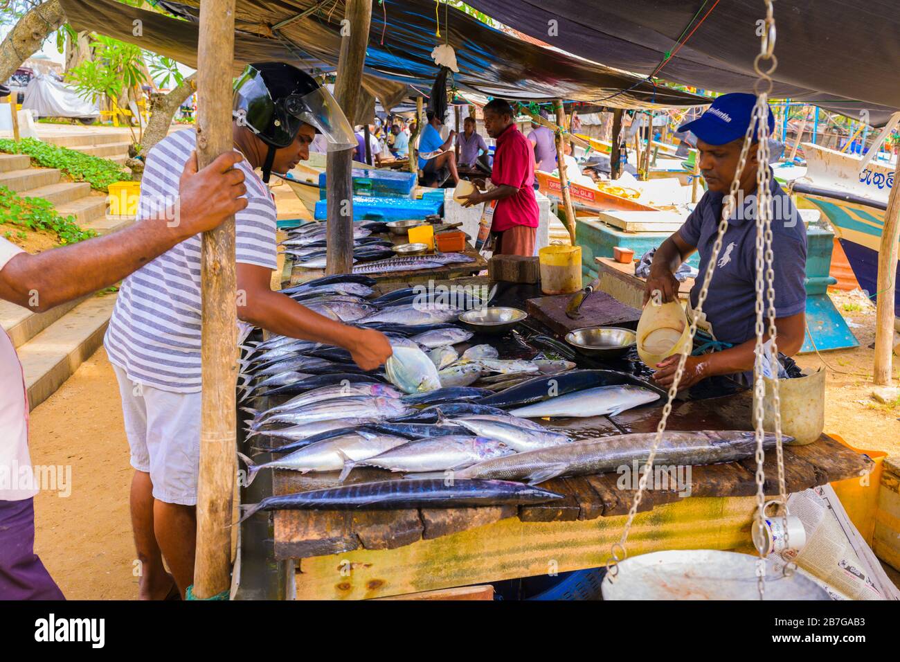 Südasien Sri Lanka Fort Galle kolonialen Stadtzentrum alten alten Hafen Hafen frischen Fisch Stände barracuda Thunfisch Schuppen Fischerboote Fischhändler Stockfoto