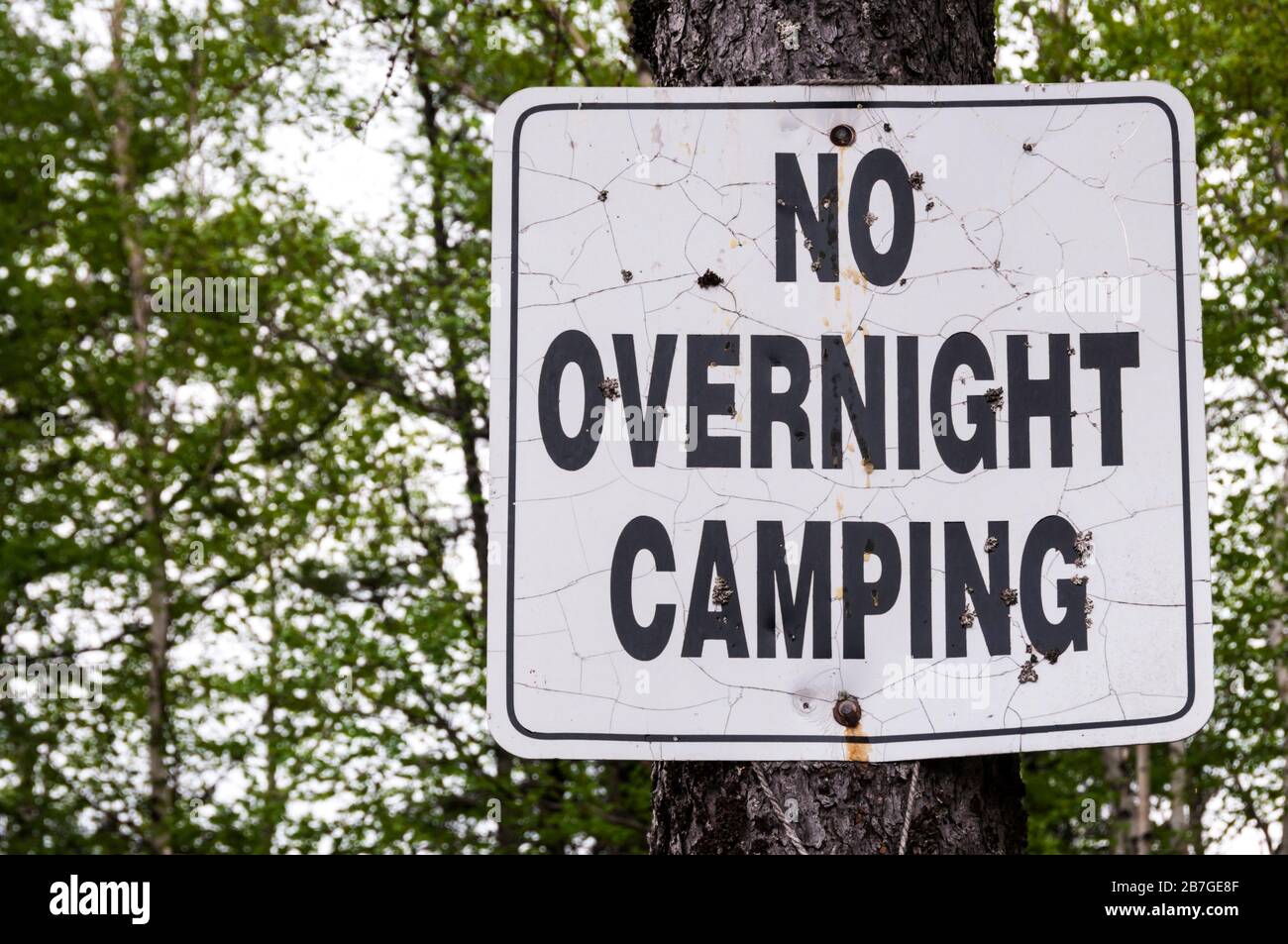 Ein Schild mit dem "Old No Overnight Camping", das an einen Baum in Kanada genagelt ist. Stockfoto