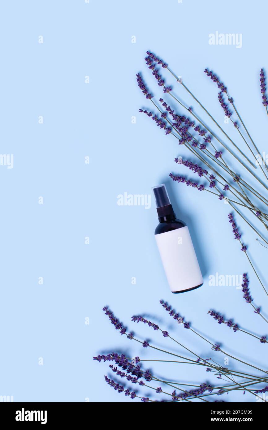 Werbebild. Glassprühflasche auf blauem Hintergrund, umgeben von Lavendel. Stockfoto