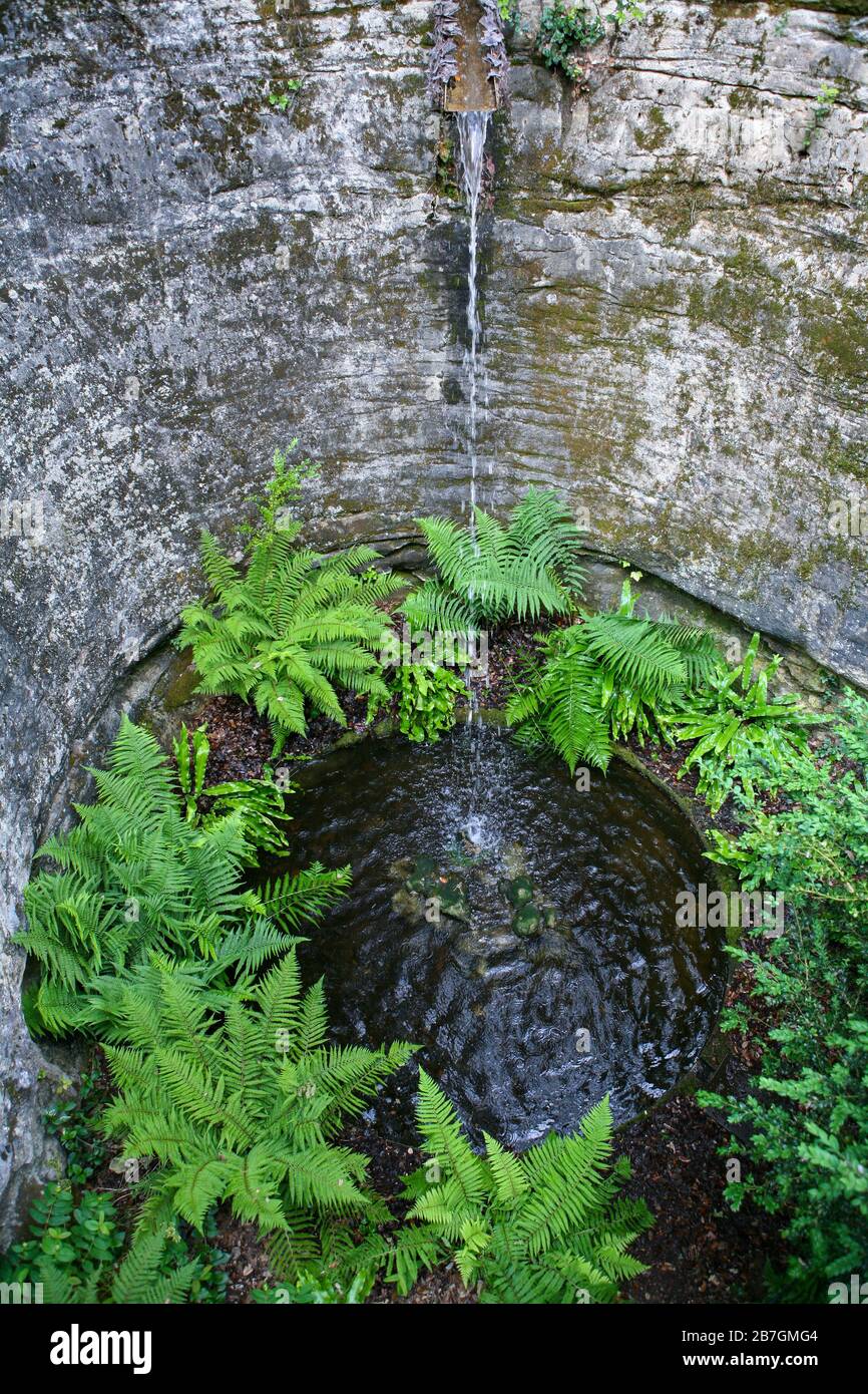 Wasserspiel: Wasser, das aus einem Auslauf in ein tiefes Becken fließt, umgeben von Farnen, Les Jardins de Marqueyssac, Dordogne, Frankreich Stockfoto