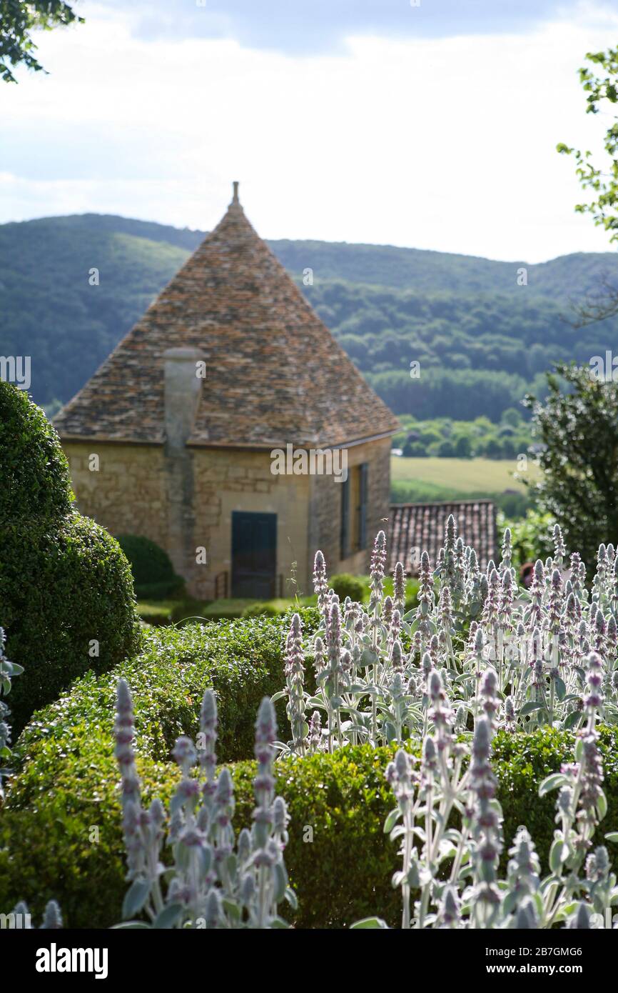 Stachys byzantina fangen Sonnenlicht, Box topiary parterres, traditionelle französische Nebengebäude, Blick auf Landschaft darüber hinaus, Les Jardins de Marqueyssac Dordogne Stockfoto