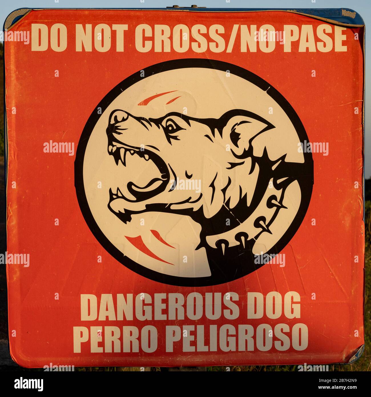 Warnung vor gefährlichem Hund, La Gomera, Kanarische Inseln, Spanien Stockfoto