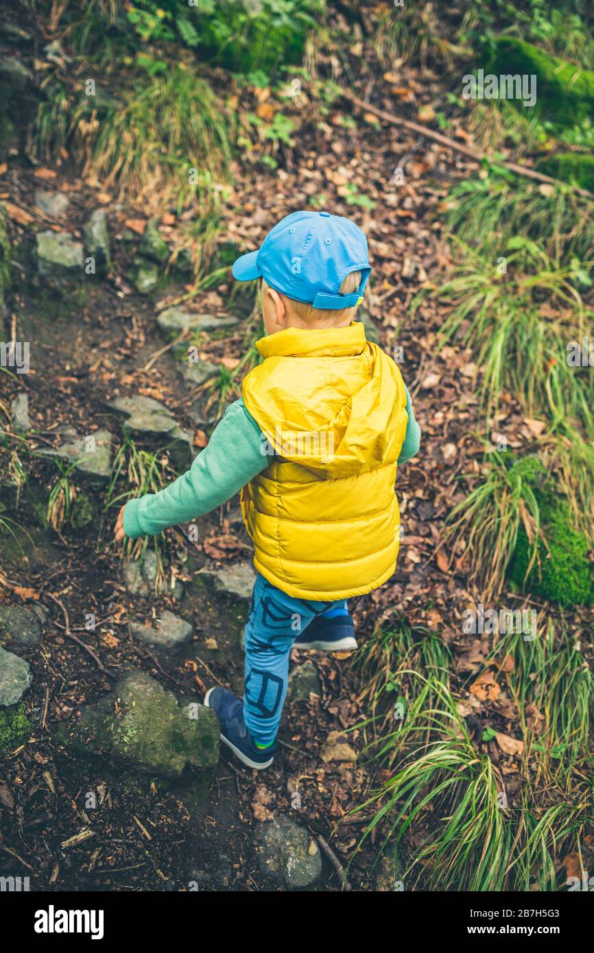 Kleiner Junge Wandern in den Bergen, Familienabenteuer, Draufsicht. Kleines Kind, das in einem felsigen grünen Wald spazieren geht. Stockfoto