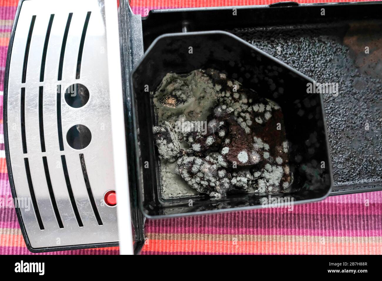 Schimmel in einer Kaffeemaschine. Grüne, schmutzige Flecken auf den Kaffeestücken. Ansicht von oben. Stockfoto