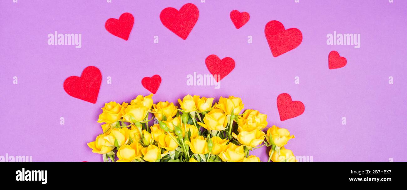 Banner Gelb Rosa Rosen Blumen mit roten Herzen auf violettem Tischhintergrund Draufsicht mit freiem Platz Kopierraum Stockfoto