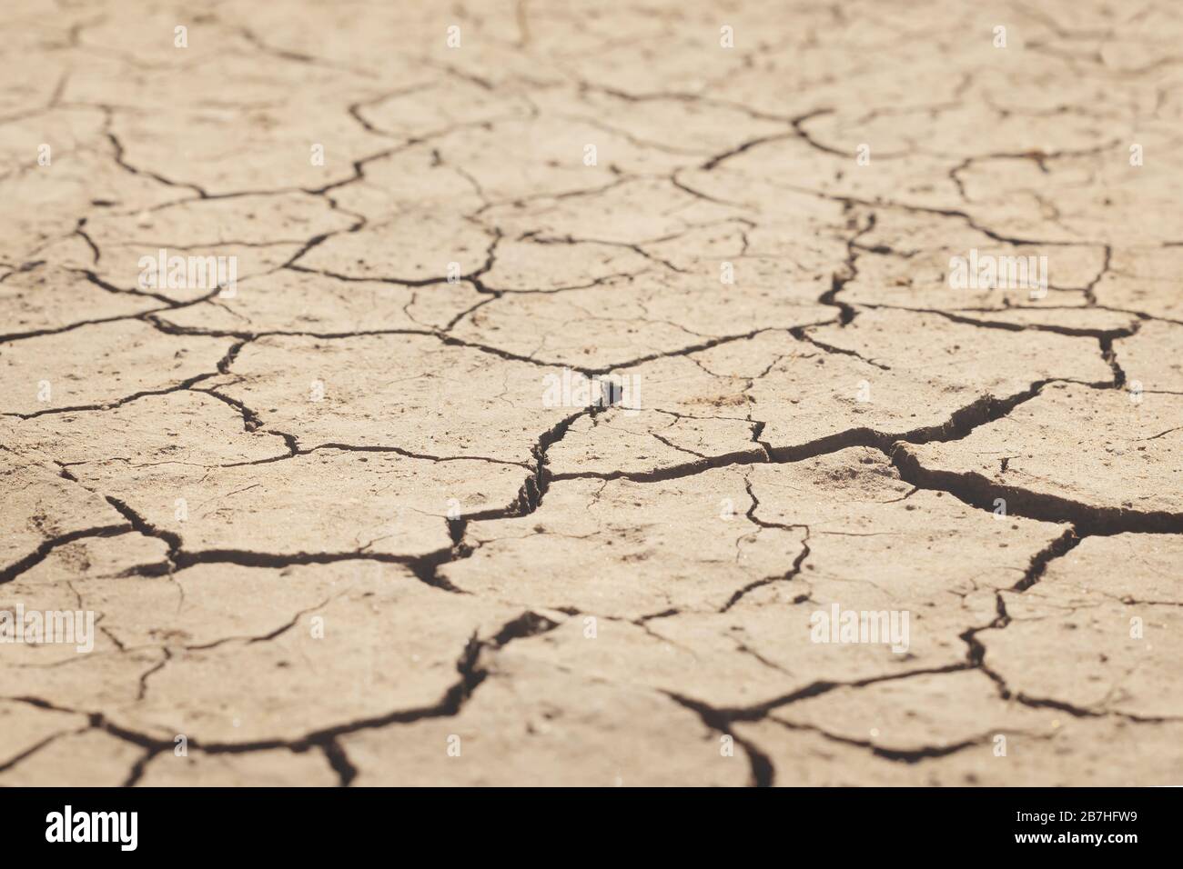Seitenansicht des getrockneten gerissenen Bodens mit einer geringen Schärfentiefe. Globale Erwärmung, Klimawandel, Dürre, Konzept für Ernteausfälle. Abstrakte Textur Backgro-Effekt Stockfoto