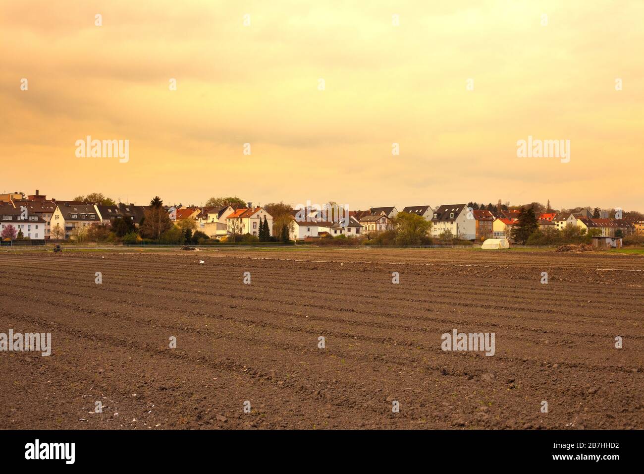 Aussaat in einem Vorstadtviertel, Oberrad, Frankfurt, Deutschland Stockfoto