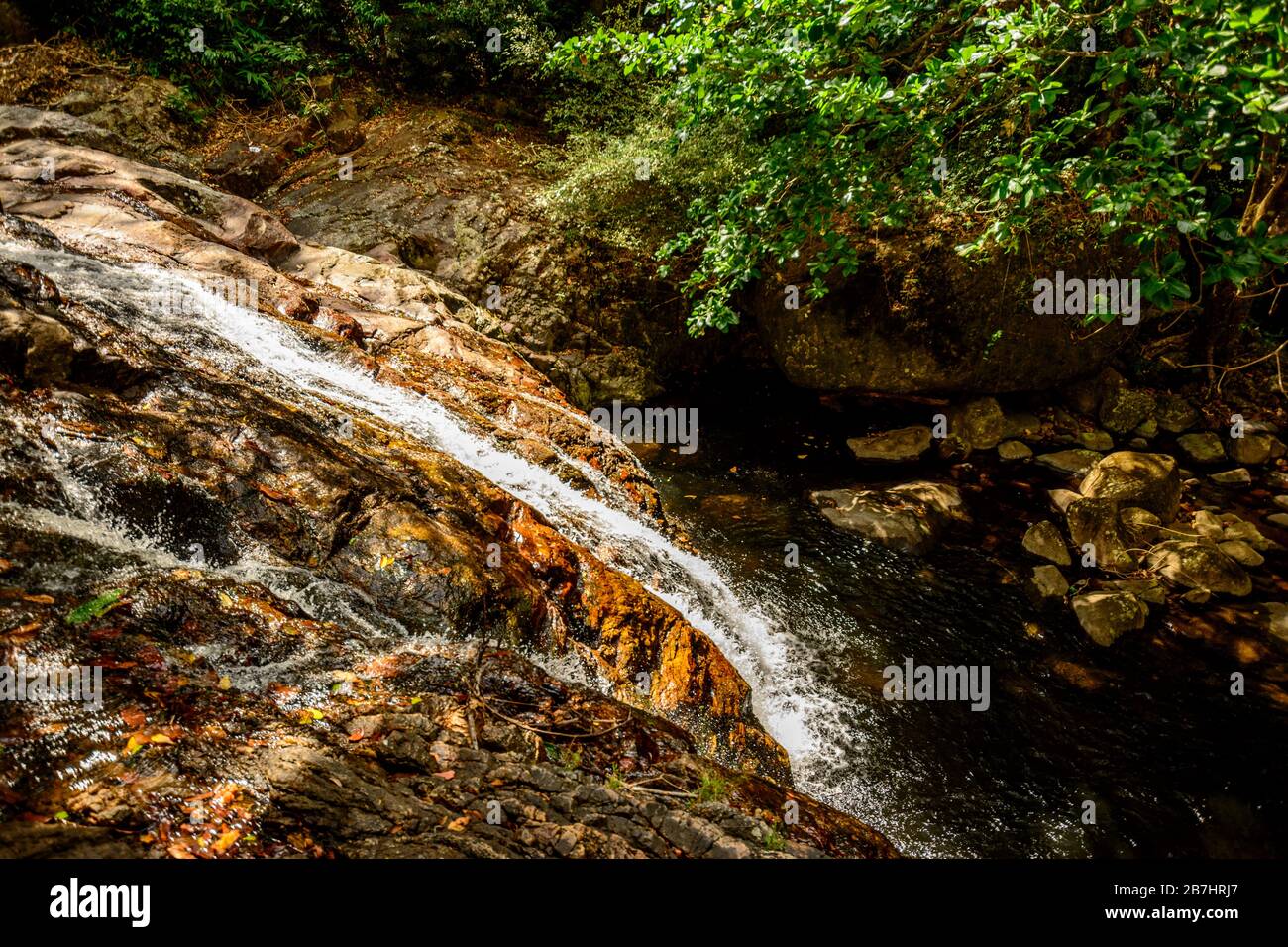 Tiefer Waldbach mit Felsen westliche Ghats Indien Stockfoto