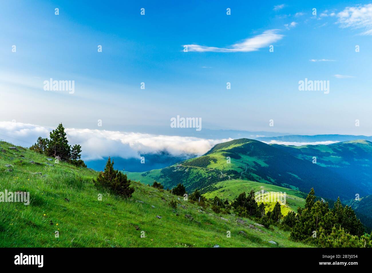 Wandern Sie durch die schönen hohen grünen Berge. Stockfoto