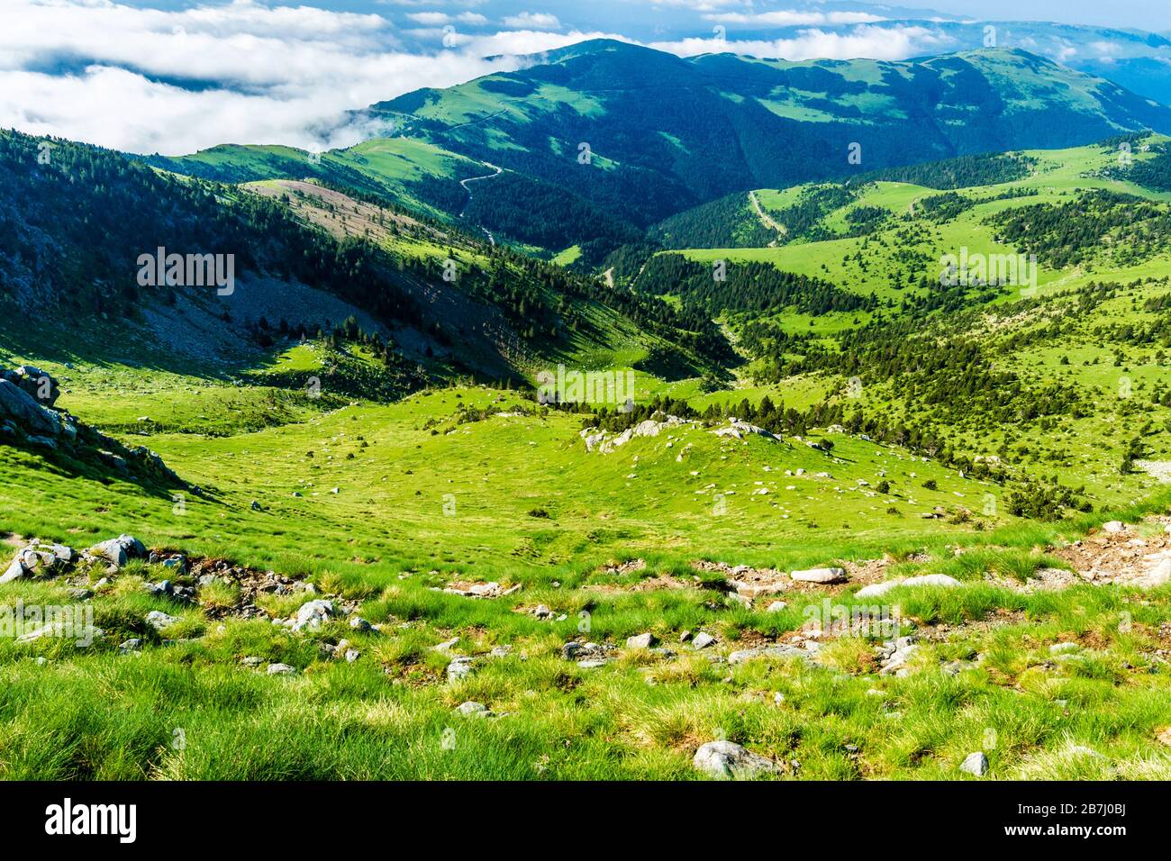 Am Morgen können Sie sich beim Wandern in den schönen grünen Bergen entspannen. Stockfoto