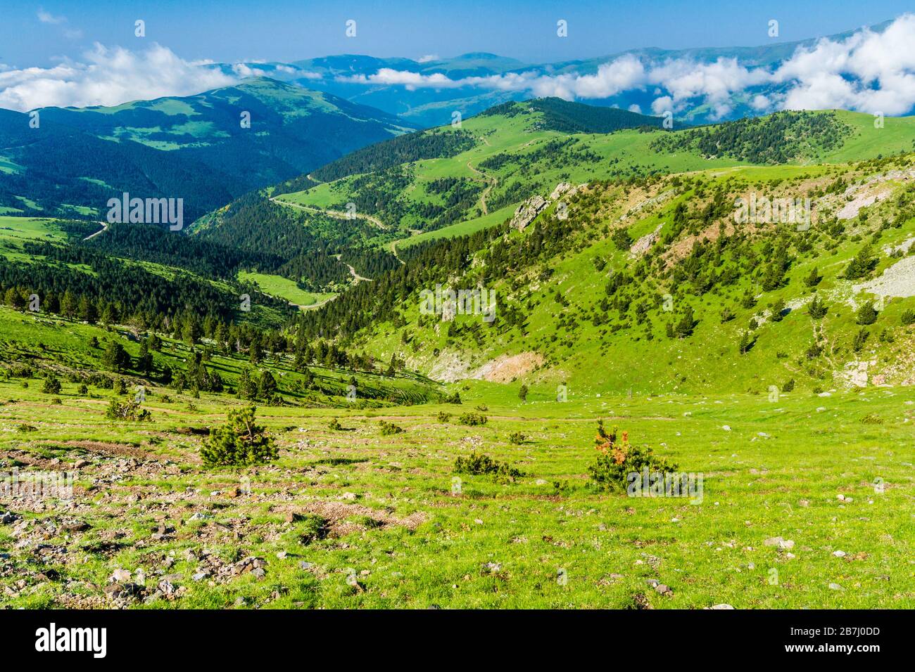 Wundervolle und entspannende Aussicht auf die grünen Berge. Stockfoto