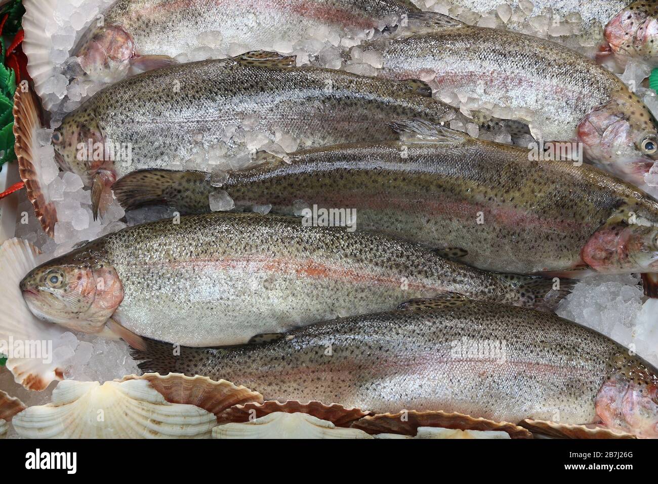 Regenbogenforelle - Meeresfrüchte Einkaufen an einem Markt in Leeds, UK. Stockfoto