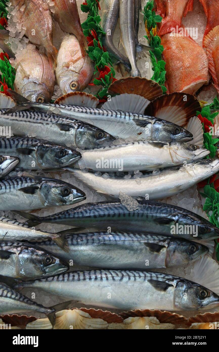 Makrele - Meeresfrüchte Einkaufen an einem Markt in Leeds, UK. Stockfoto