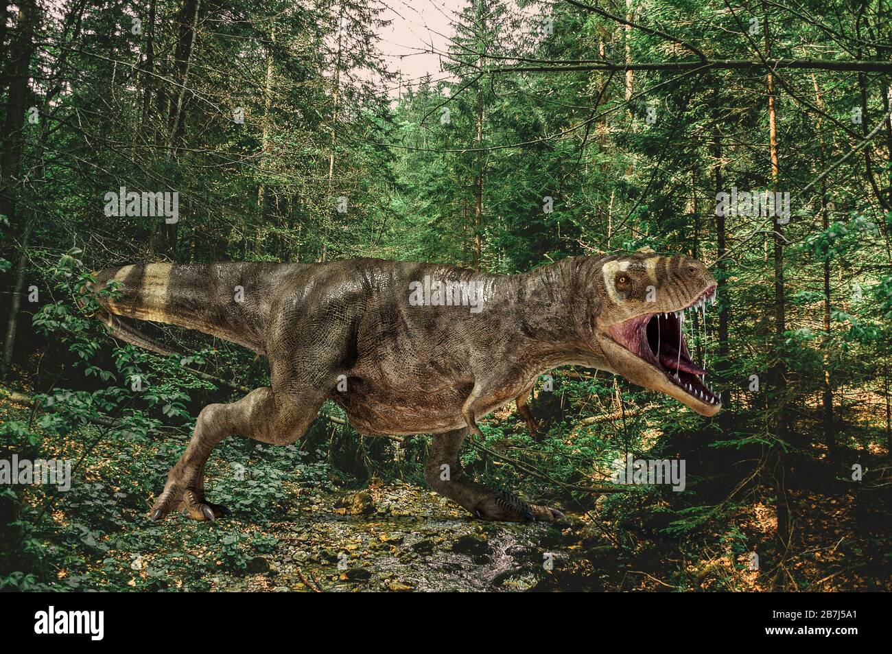 Dinosaurier T-Rex brüllt in einem Nadelwald. Fotorealistische 3D-Darstellung. Stockfoto