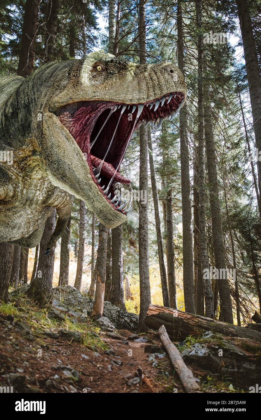 T-Rex Dinosaurier in der Nähe, brüllend in einem Nadelwald. Fotorealistische 3D-Darstellung. Stockfoto