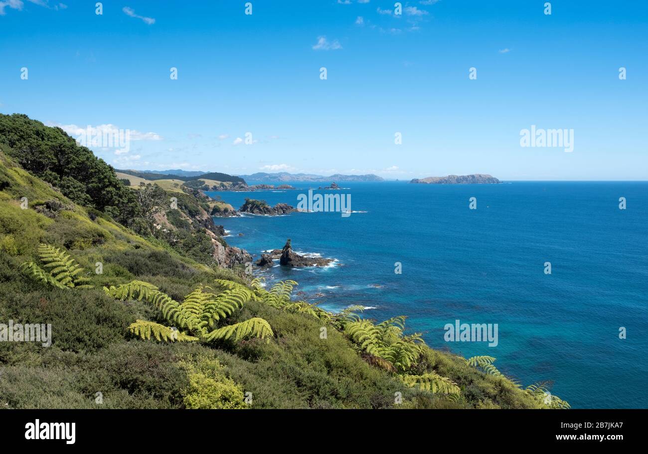 Mahinepua Peninsula and Bay Walking Track, Kaeo⁩, ⁩Bay of Islands, Northland North Island, Neuseeland Stockfoto