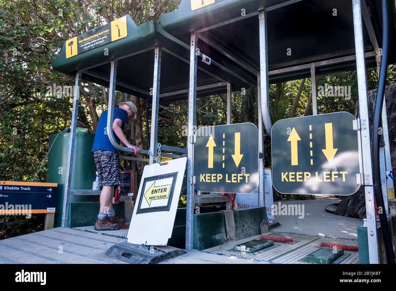 Feet war ein Zentrum zur Kontrolle von Kauri Tree Dieback durch Pilzpathogene, KiteKite Falls Trail, Piha- Auckland, North Island, Neuseeland Stockfoto