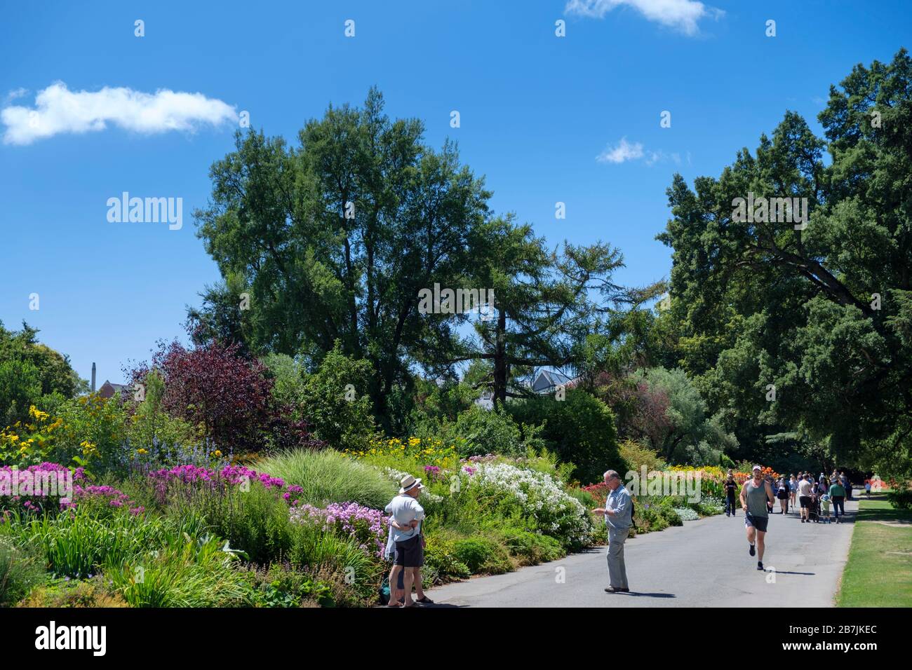 Die Besucher der Christchurch Botanical Gardens im Sommer, Christchurch, Canterbury Region, South Island, Neuseeland Stockfoto