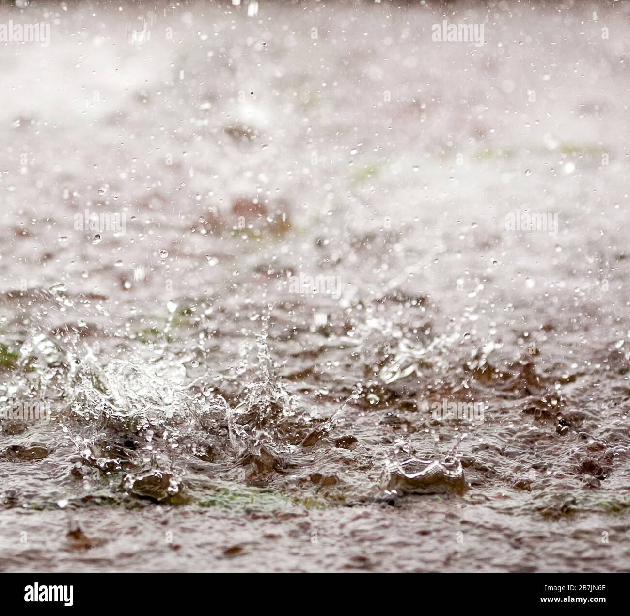 Starker Regen spritzt in einer Pfütze Stockfoto