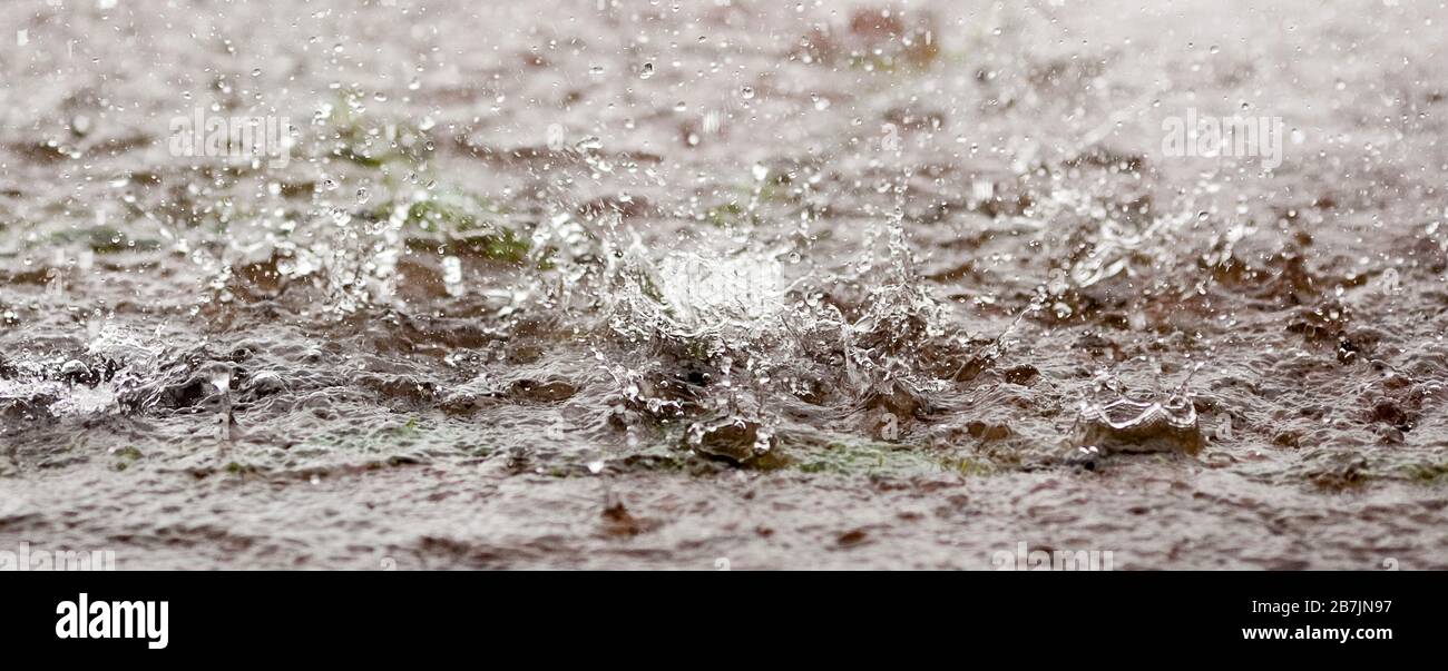 Starker Regen spritzt in einer Pfütze Stockfoto