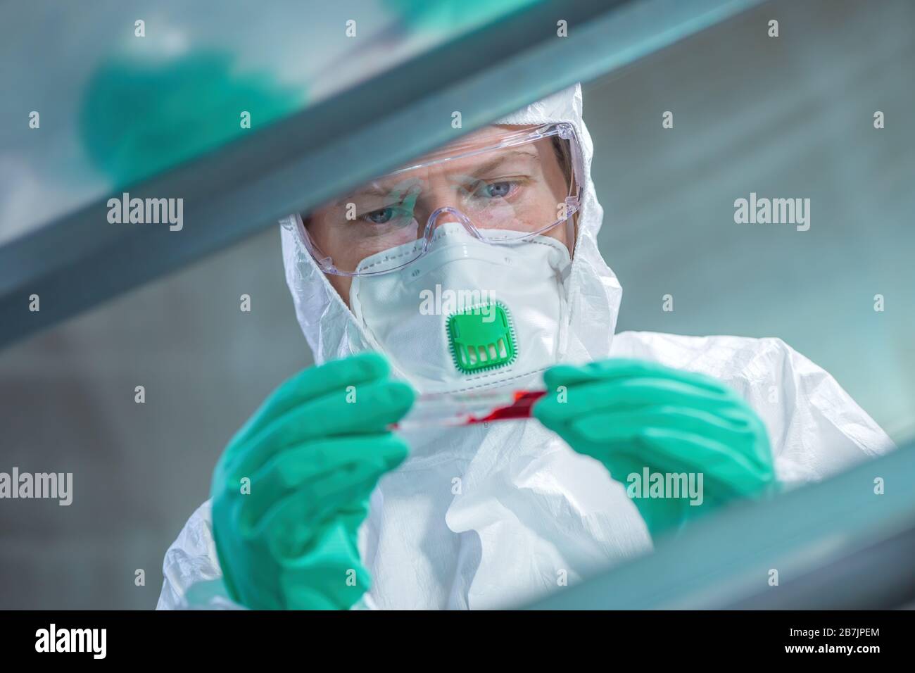 Virologen im Gesundheitswesen analysieren die Blutprobe in Laborröhrchen, schließen die medizinischen Mitarbeiter, die arbeiten, selektive Fokussierung Stockfoto