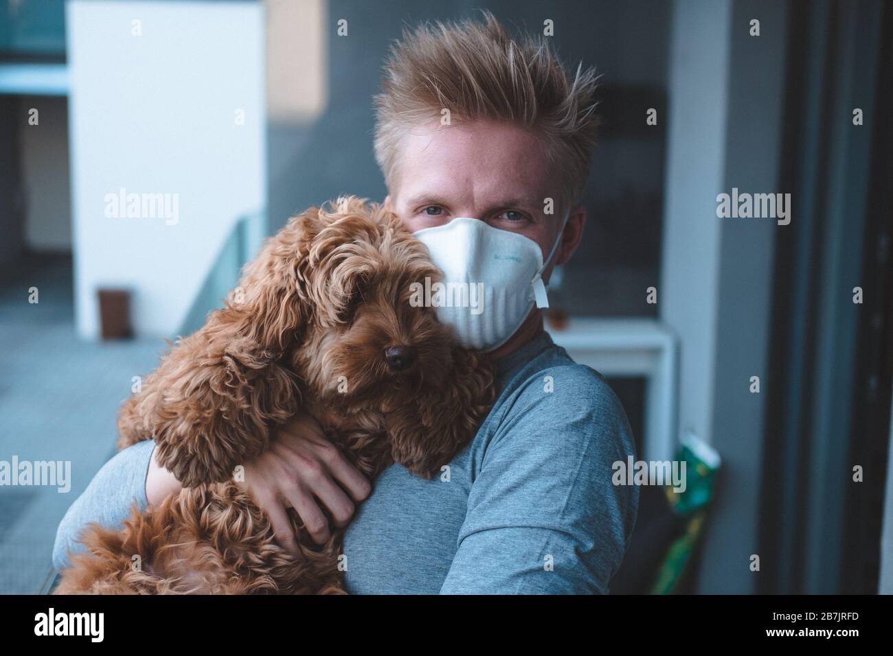 Mann, der FFP3 Gesichtsmasken-Atemschutzmaske mit Hund trägt Stockfoto