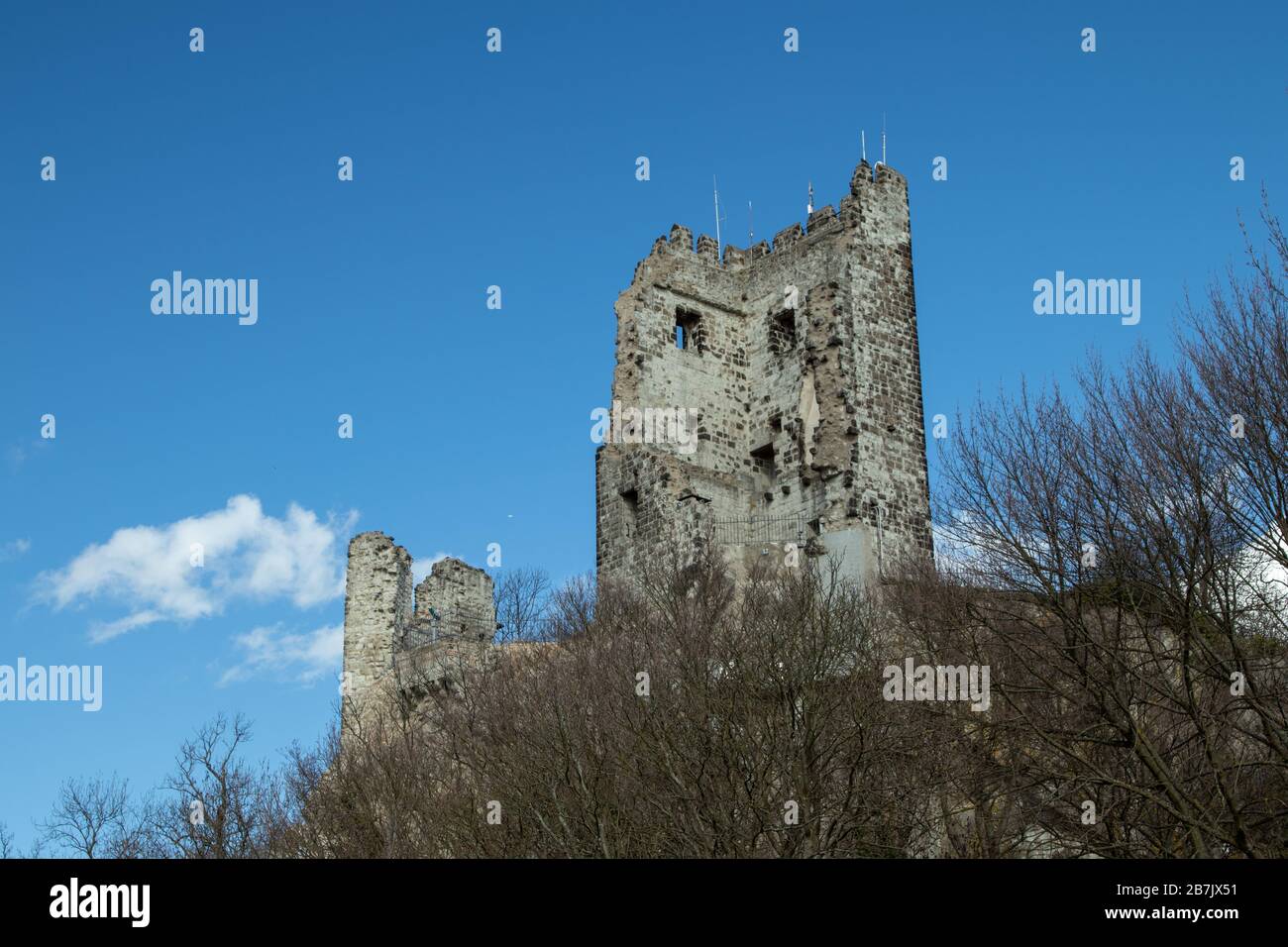 Drachenfels ruiniert in Koenigswinter, perspektivischer Blick, blauer Himmel Stockfoto