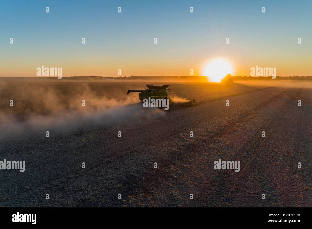 63801-14812 Luftansicht des Mähdreschers, der Sojabohnen bei Sonnenuntergang erntet, Marion Co. IL Stockfoto