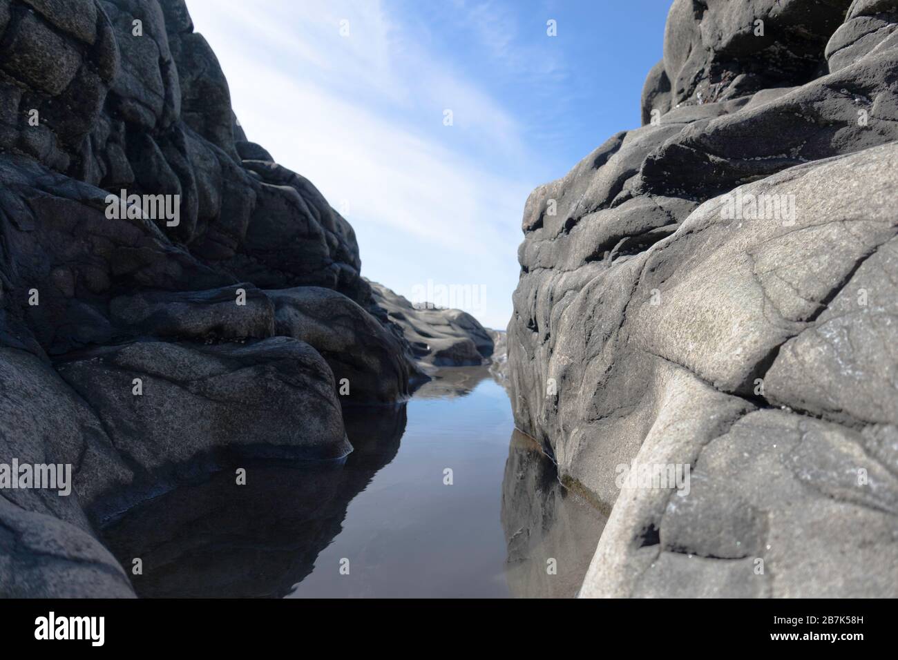 Wasserpfütze zwischen Felsen an einem Strand in der Nähe der Bay of Fundy. Stockfoto