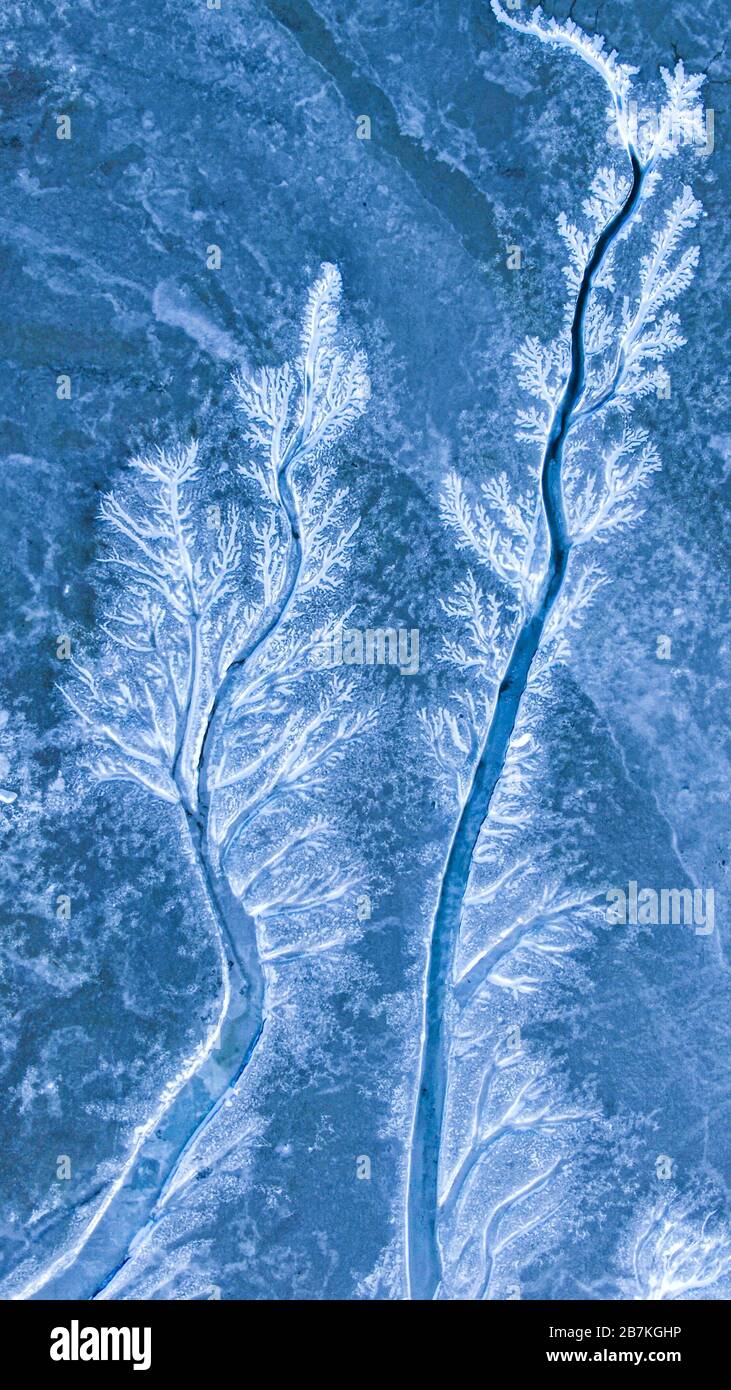 Luftaufnahme von riesigen "Eisbäumen", die durch Seesteide und Frost an der Jinzhou-Bucht an der Bohai-See-Aera in der südostchinesischen Stadt Dalian entstanden sind Stockfoto