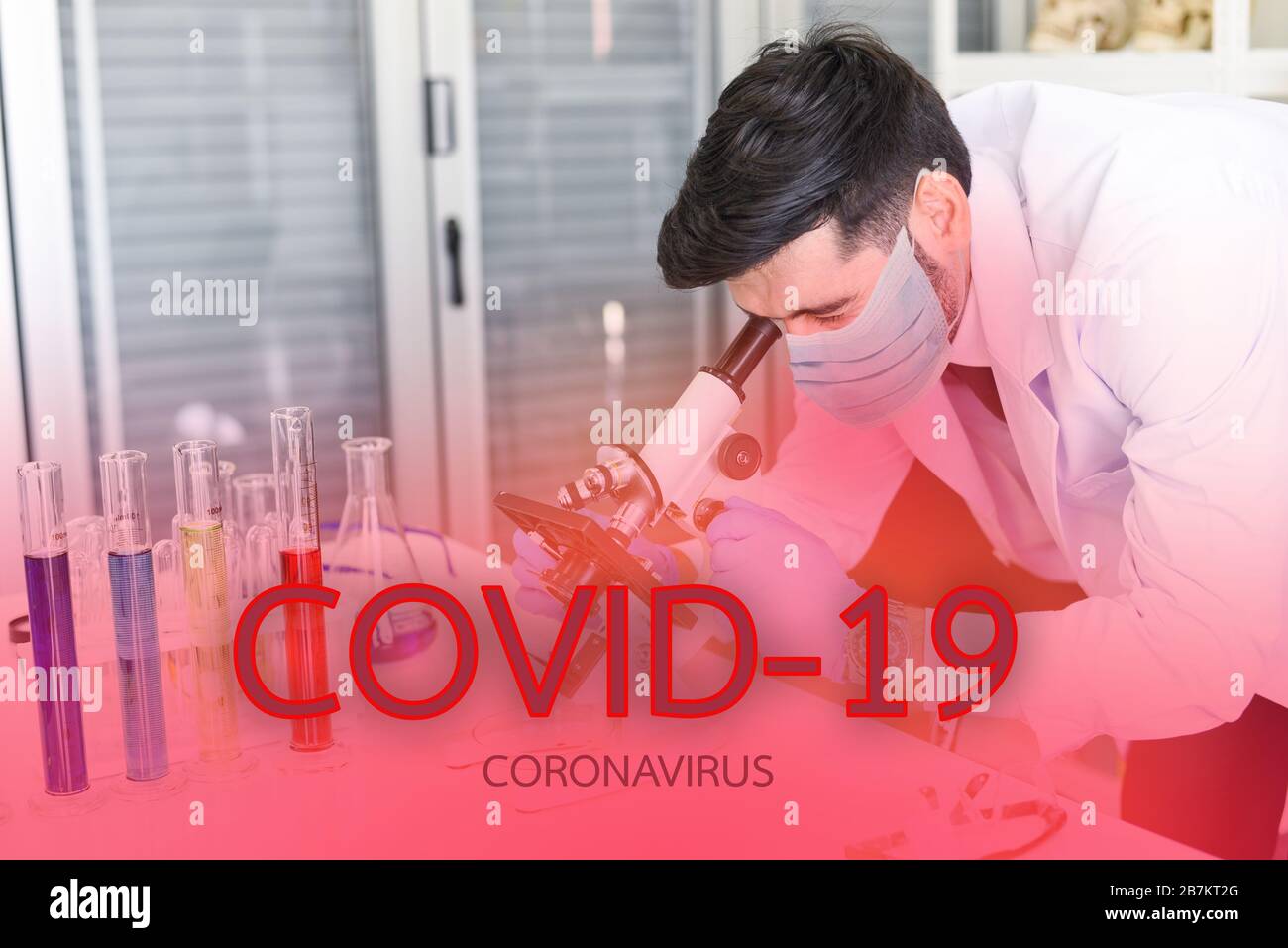 COVID-19-Wissenschaftler oder Arzt Forschungsmedikation antivirales Coronavirus zur Behandlung und Prävention nCoV 2019 - Wissenschaftler Forschung Mikrobiologe la Stockfoto