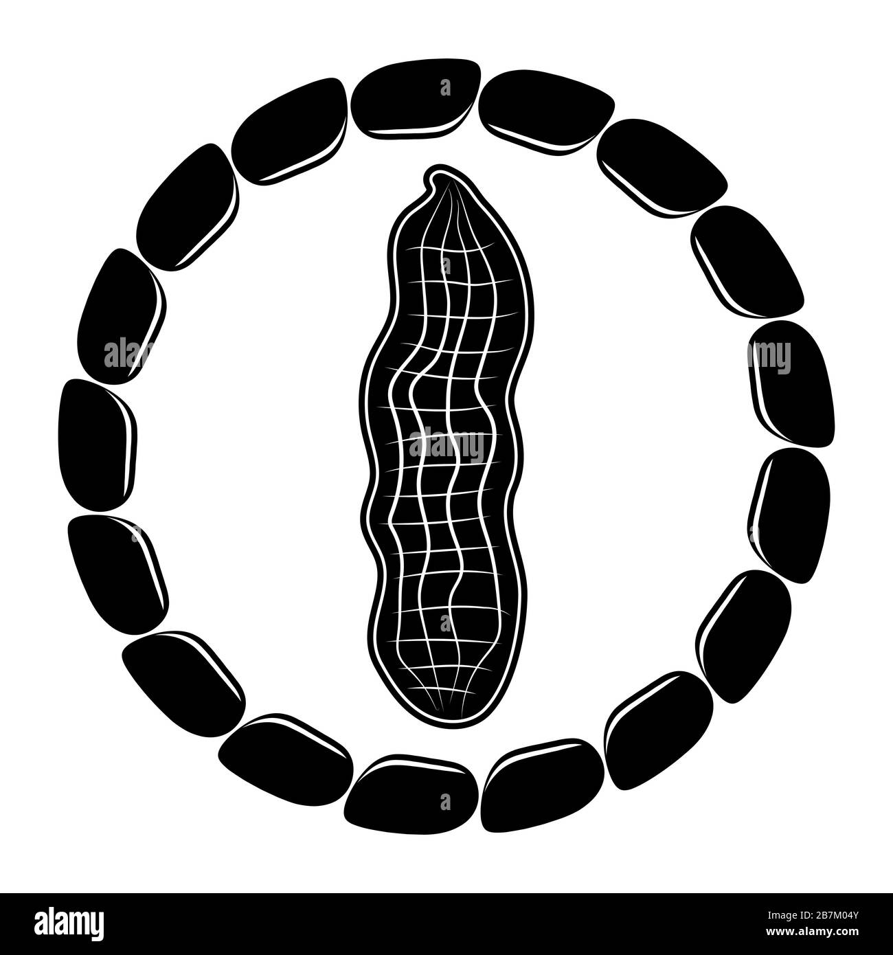 "Lecker Peanut"-Symbol mit "Seeds Circle"-Rahmen, isoliert auf weißem Hintergrund. Nusssamen Stockfoto