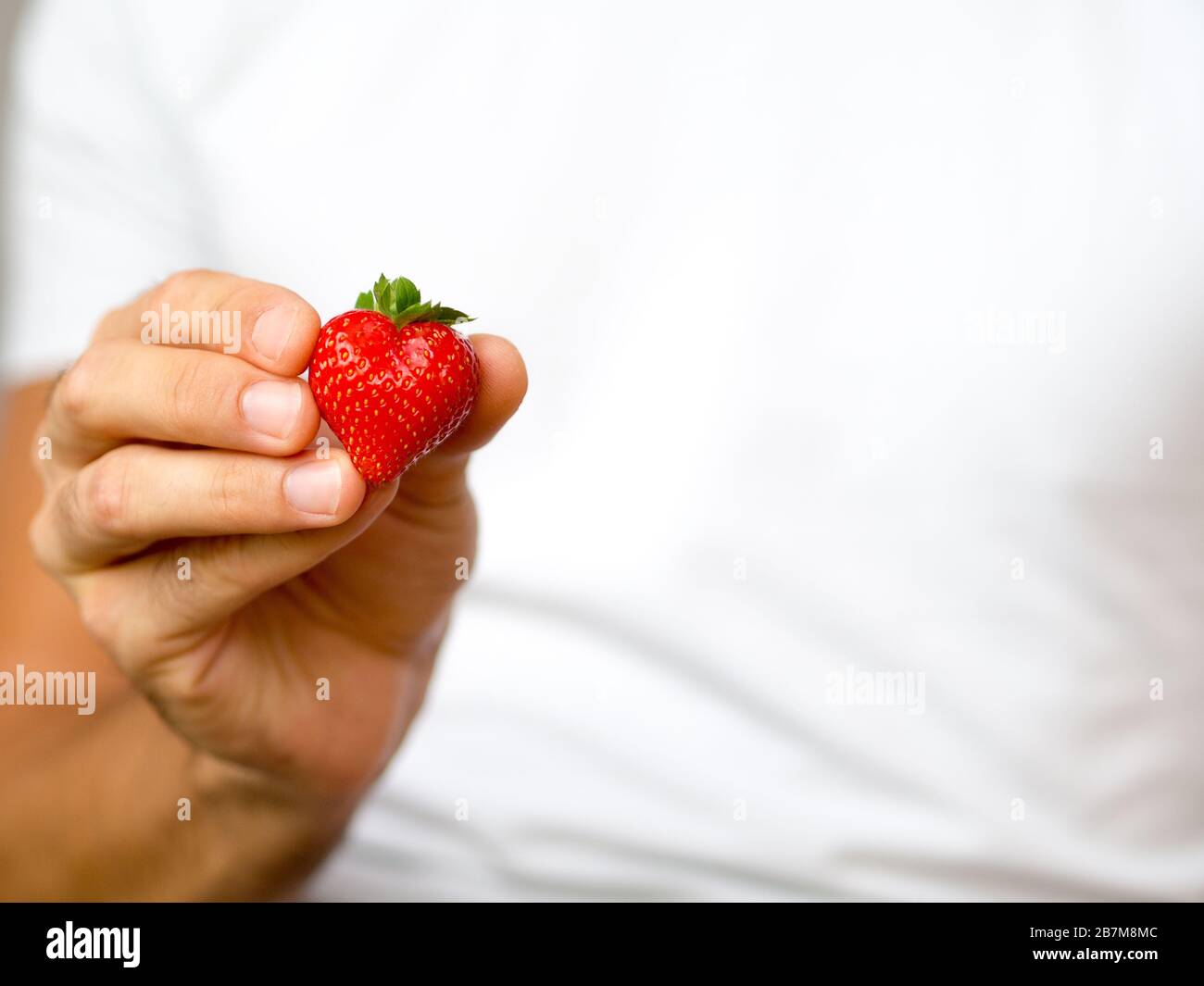 Herzförmige Erdbeere in den Händen des Menschen auf einem weißen Hemdhintergrund, die eine gesunde Ernährung oder kardiovaskuläre Gesundheit darstellt, Liebe. Stockfoto