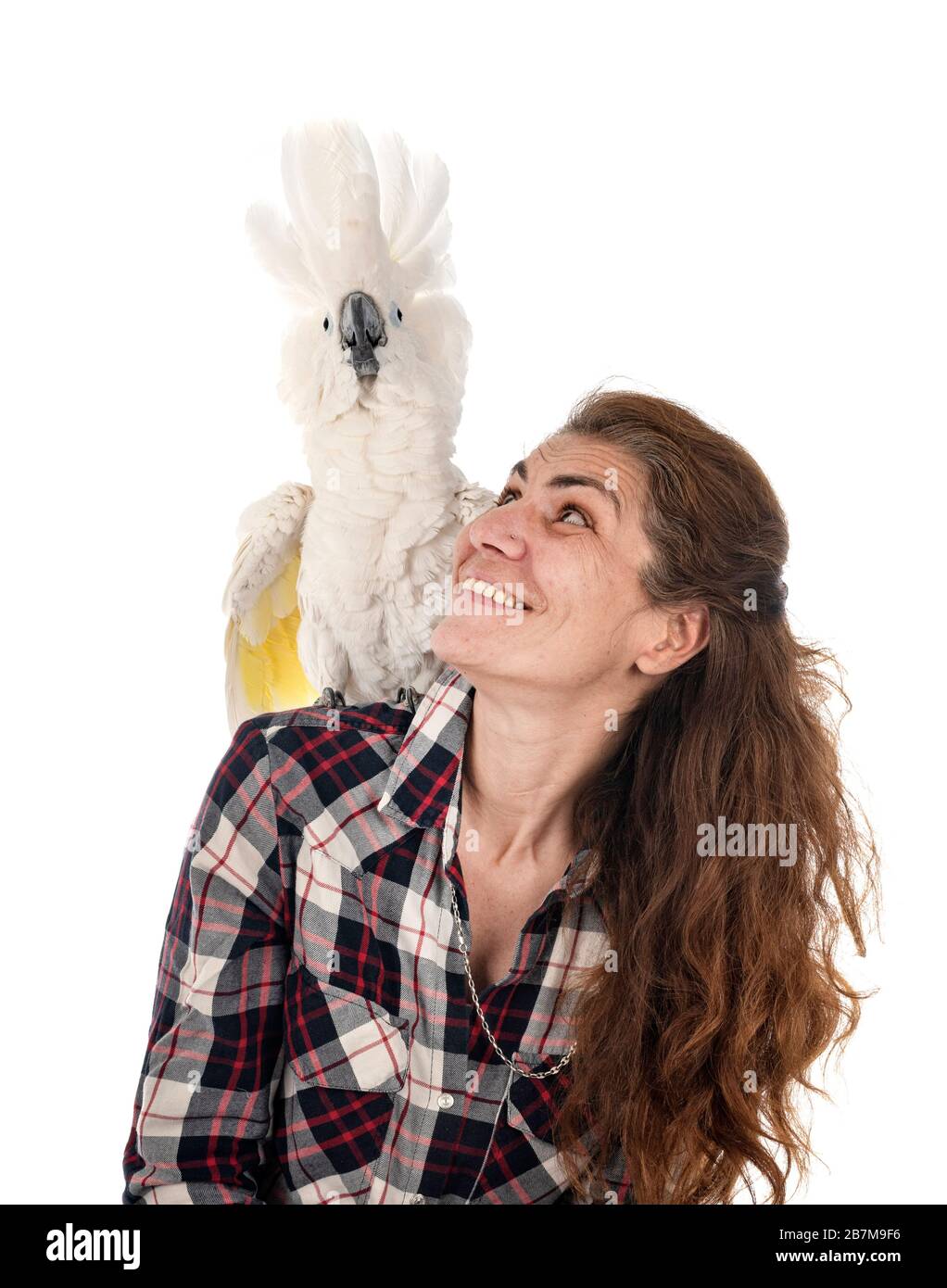 Kakadus und Frau vor weißem Hintergrund Stockfoto